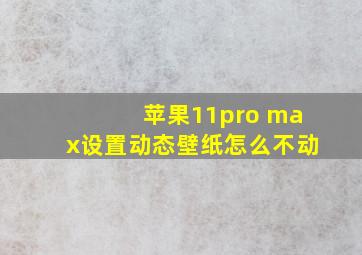 苹果11pro max设置动态壁纸怎么不动